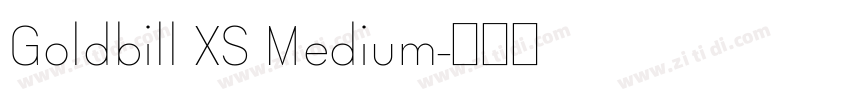 Goldbill XS Medium字体转换